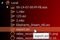 Exporting Recorded Region from Single Camera - 4